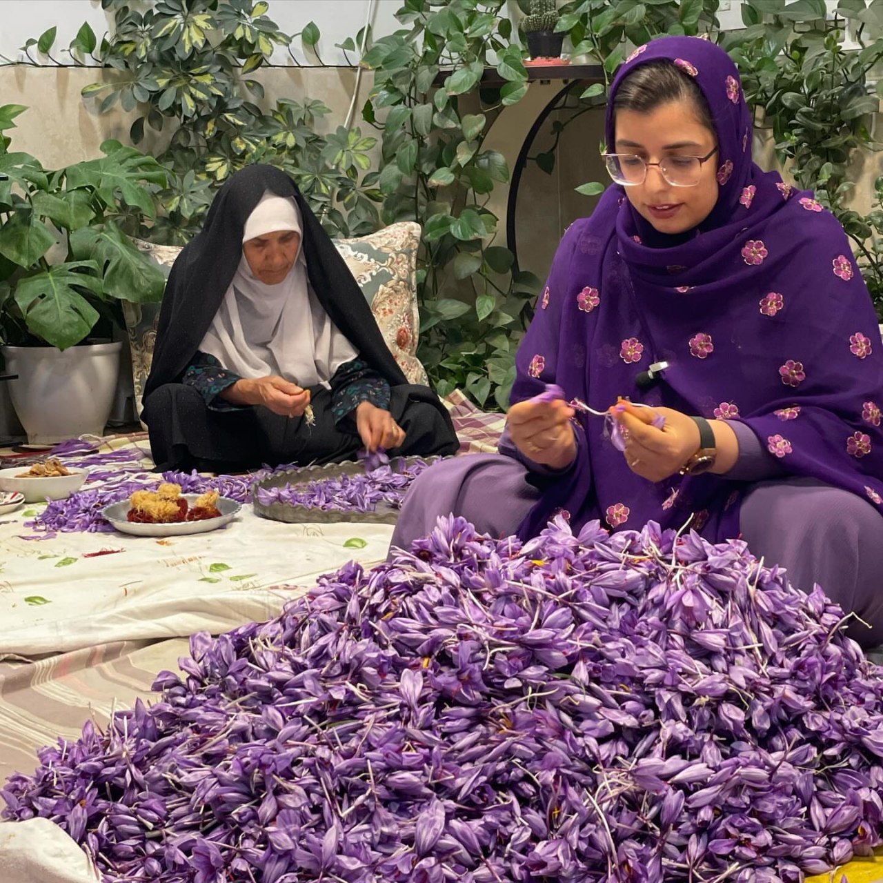 Saffron production and logistics 4